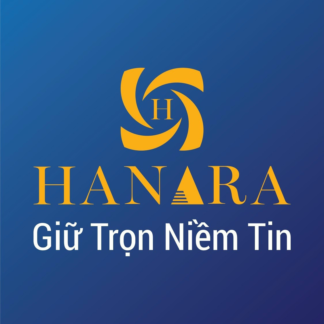 lĩnh vực hoạt động